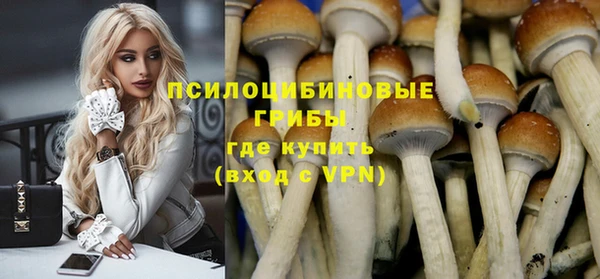 прущая мука Аркадак